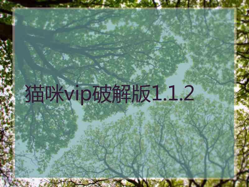 猫咪vip破解版1.1.2