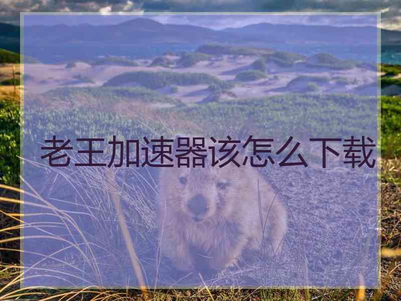 老王加速器该怎么下载