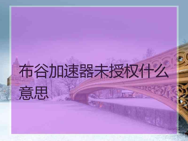 布谷加速器未授权什么意思