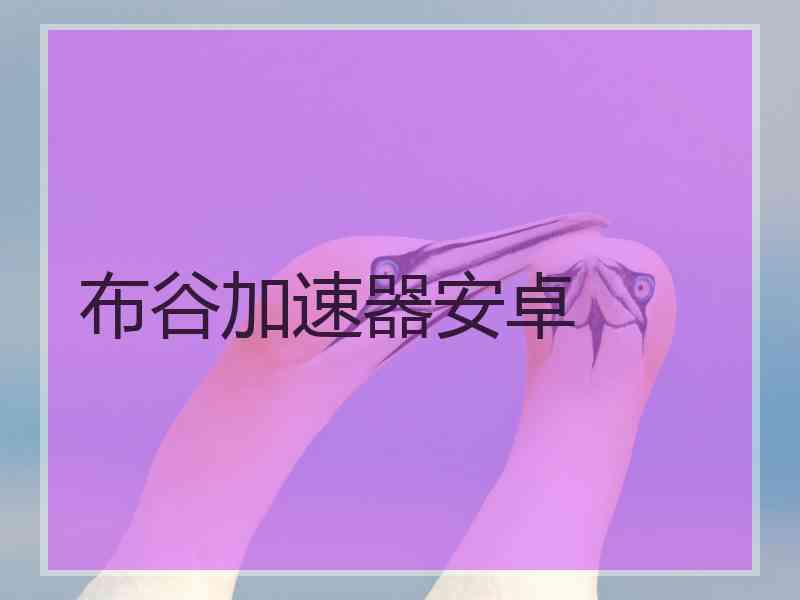 布谷加速器安卓