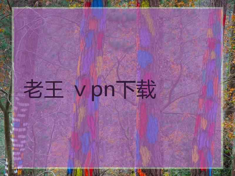 老王 ⅴpn下载