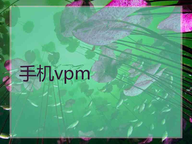 手机vpm
