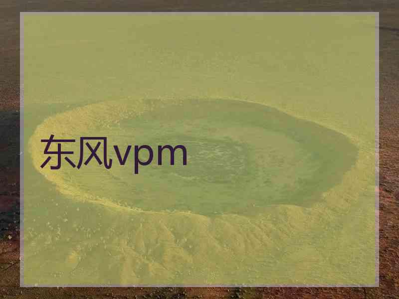 东风vpm
