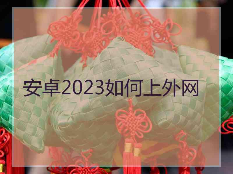 安卓2023如何上外网