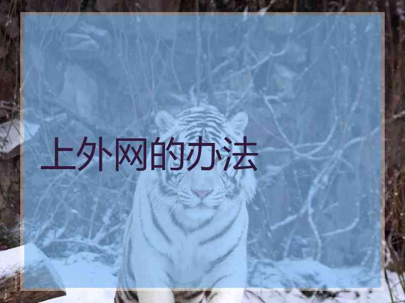 上外网的办法