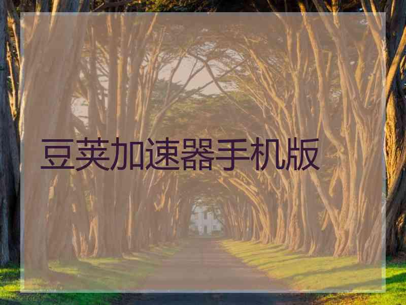 豆荚加速器手机版