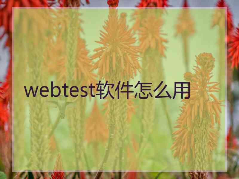 webtest软件怎么用