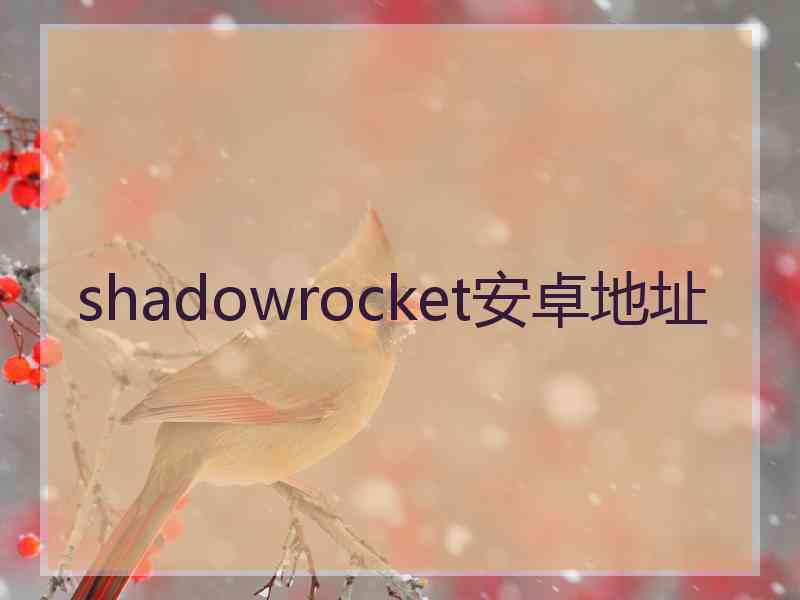 shadowrocket安卓地址