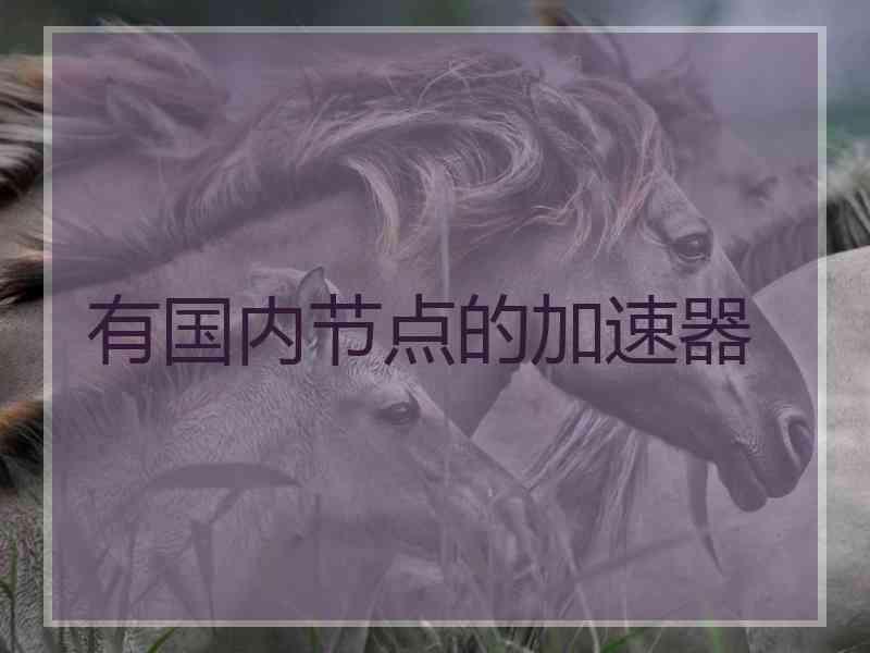 有国内节点的加速器