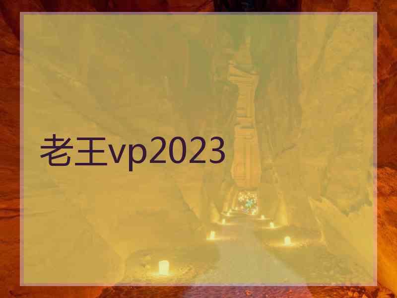 老王vp2023