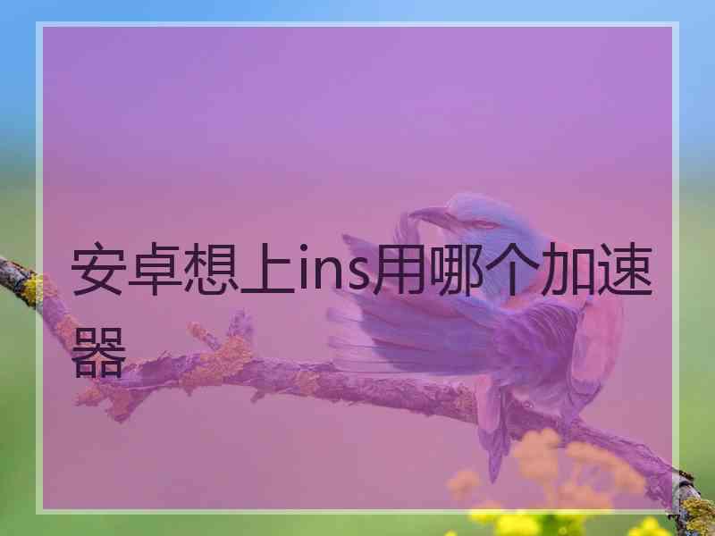 安卓想上ins用哪个加速器