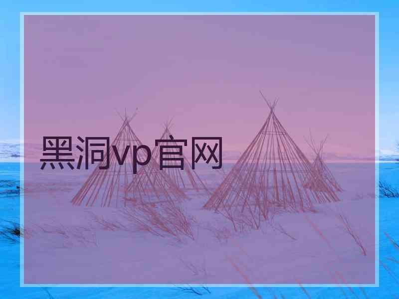 黑洞vp官网