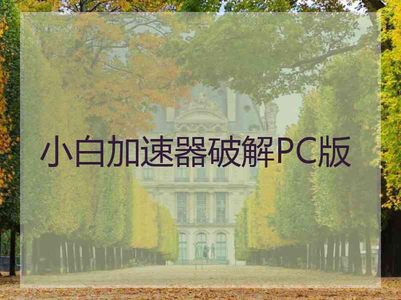 小白加速器破解PC版