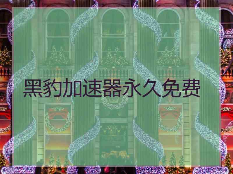 黑豹加速器永久免费