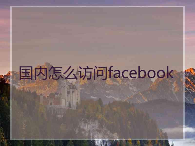 国内怎么访问facebook