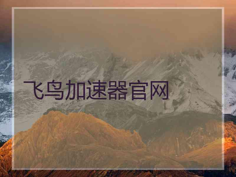飞鸟加速器官网