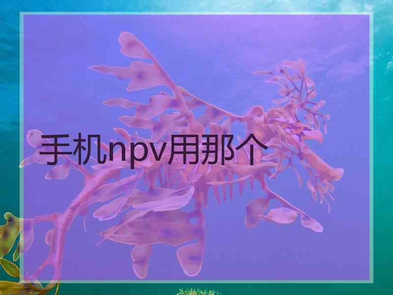 手机npv用那个