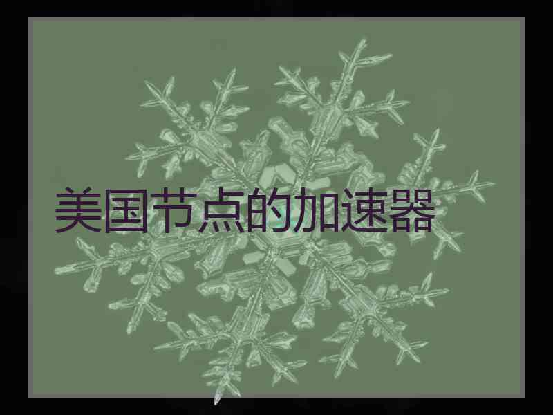 美国节点的加速器