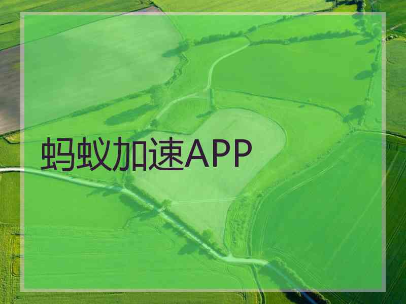 蚂蚁加速APP