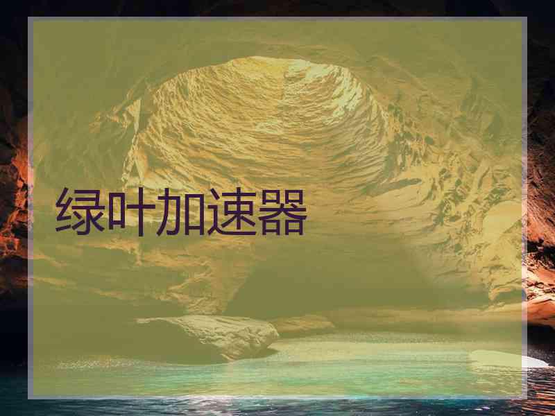 绿叶加速器