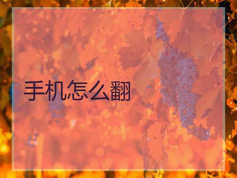 手机怎么翻