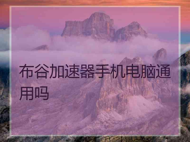 布谷加速器手机电脑通用吗