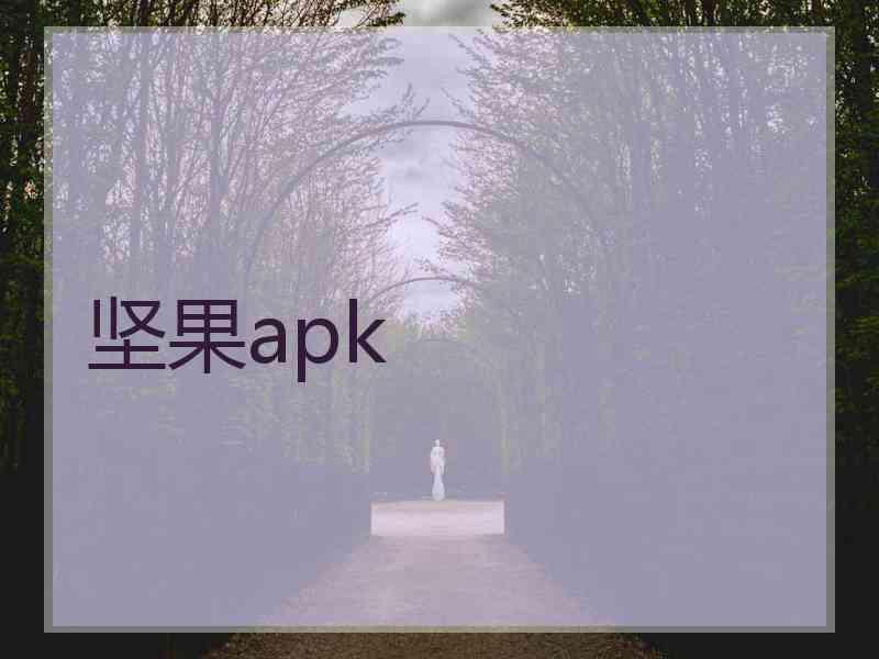 坚果apk