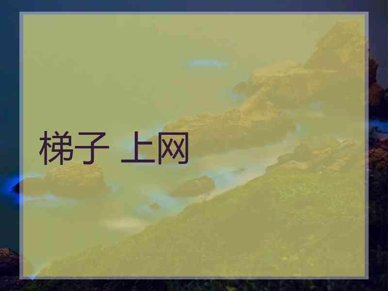 梯子 上网