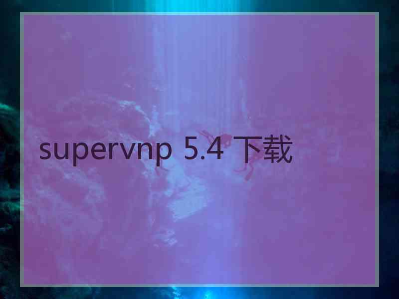 supervnp 5.4 下载