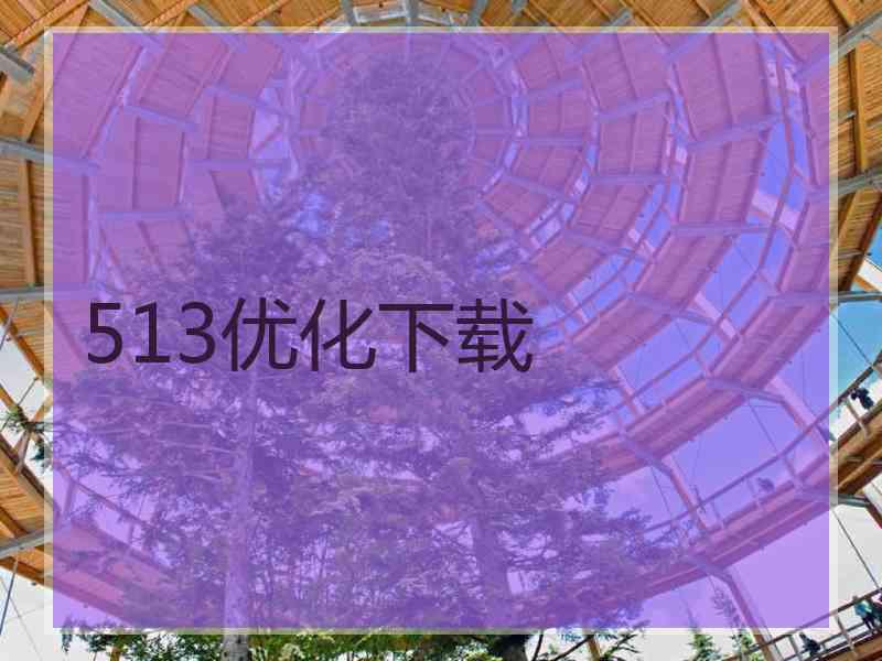 513优化下载