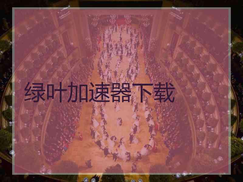 绿叶加速器下载