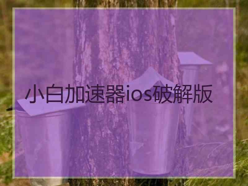 小白加速器ios破解版