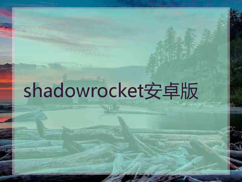 shadowrocket安卓版