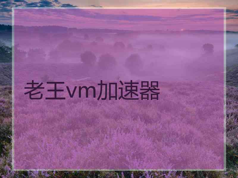 老王vm加速器