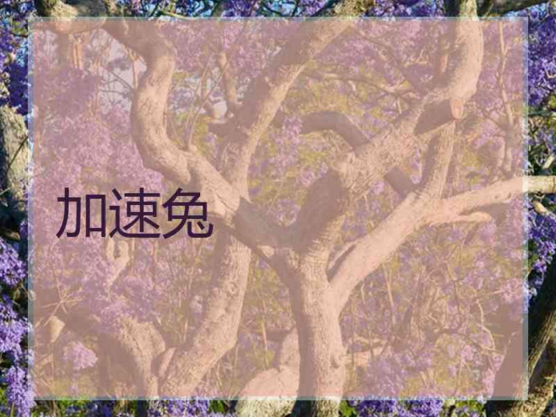 加速兔