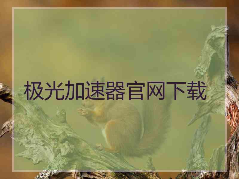 极光加速器官网下载
