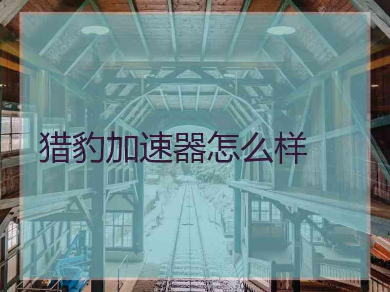 猎豹加速器怎么样