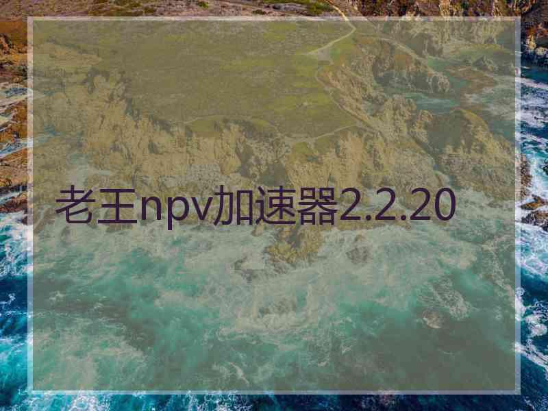 老王npv加速器2.2.20