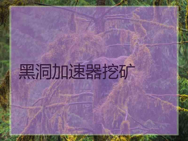 黑洞加速器挖矿