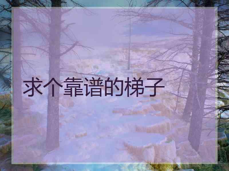 求个靠谱的梯子