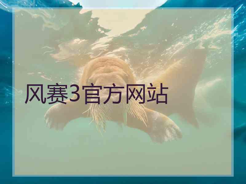 风赛3官方网站
