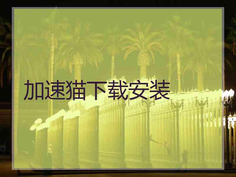 加速猫下载安装