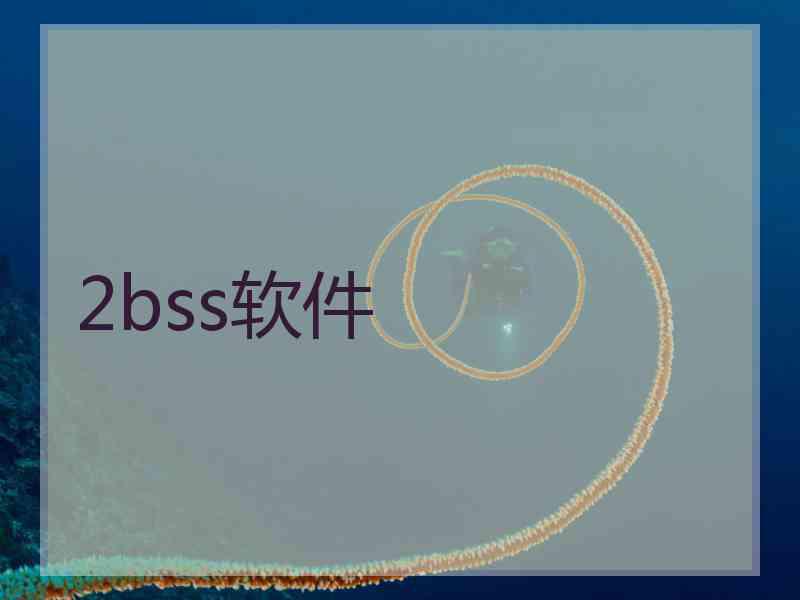 2bss软件