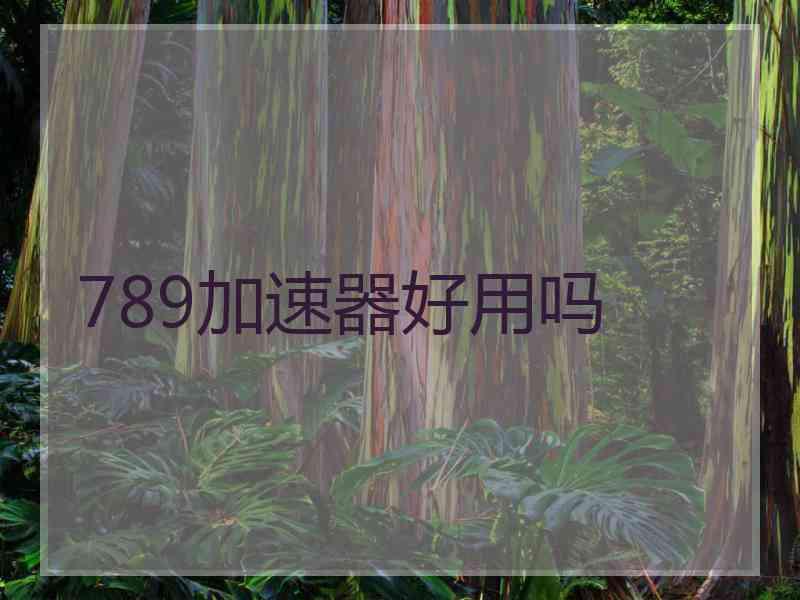 789加速器好用吗