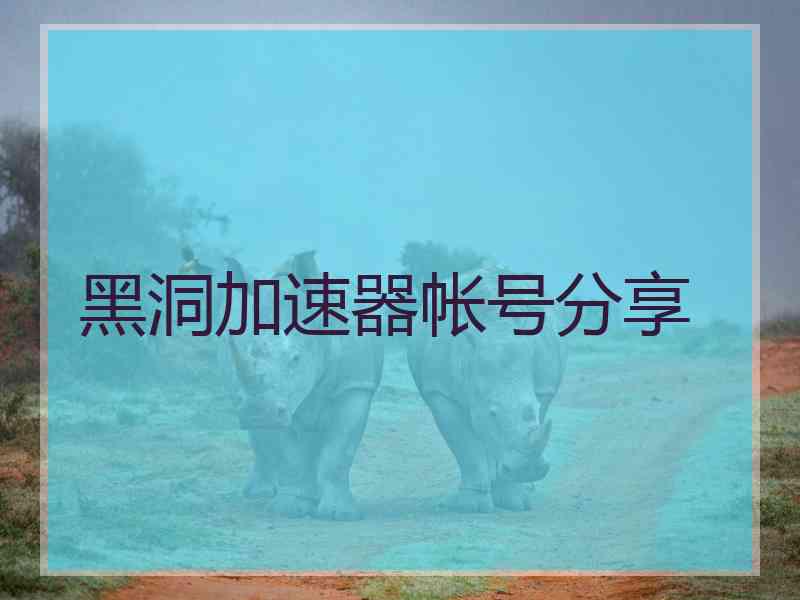 黑洞加速器帐号分享