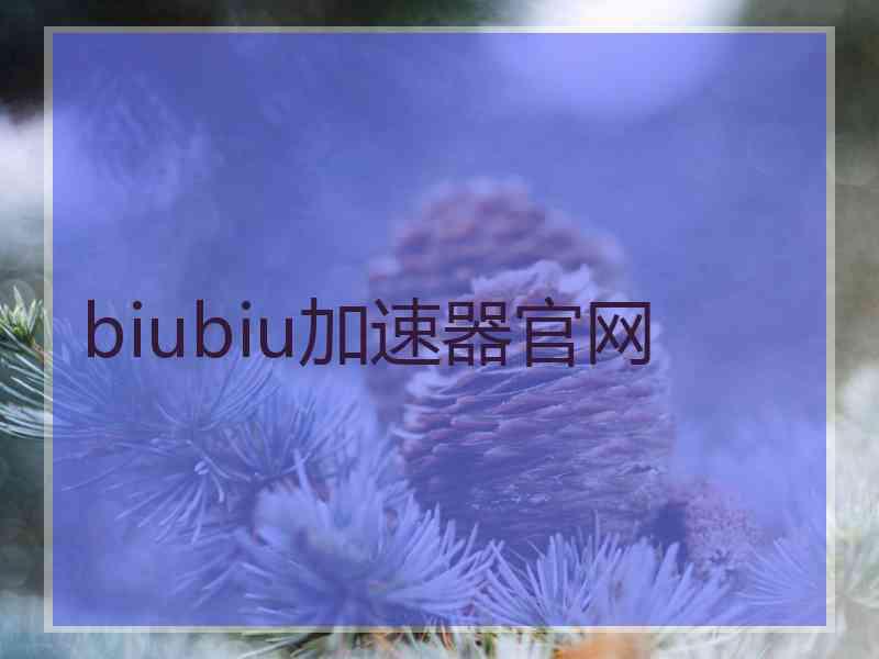 biubiu加速器官网