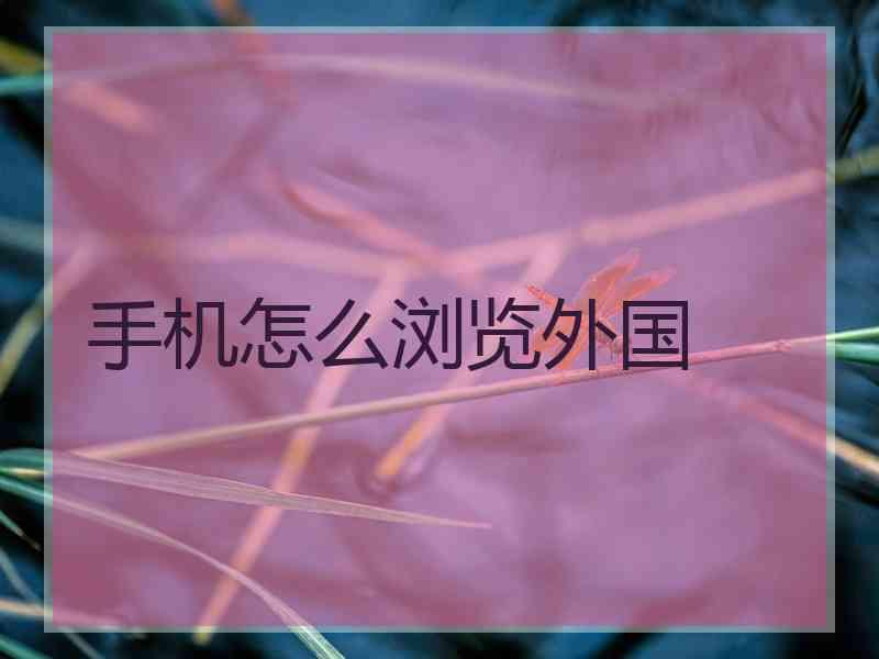 手机怎么浏览外国