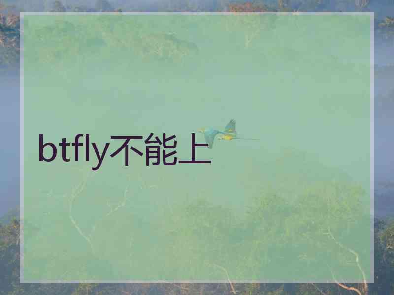btfly不能上