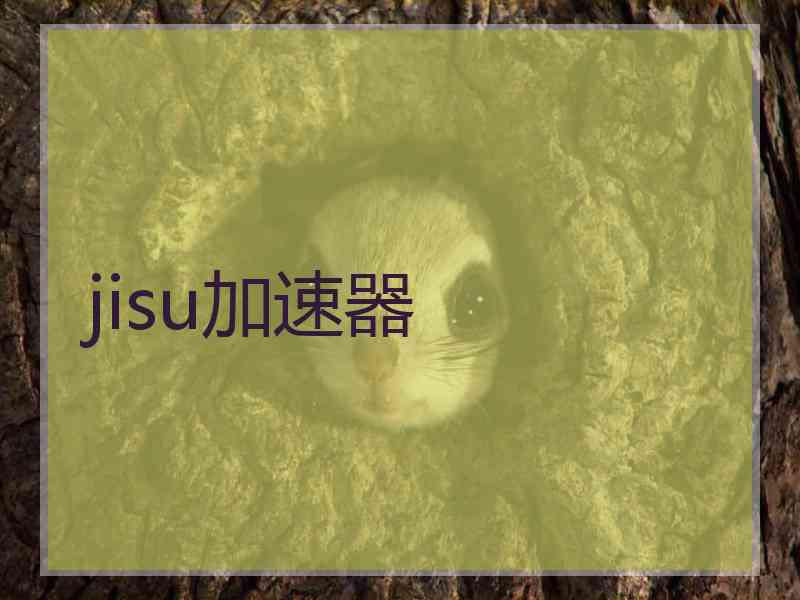 jisu加速器