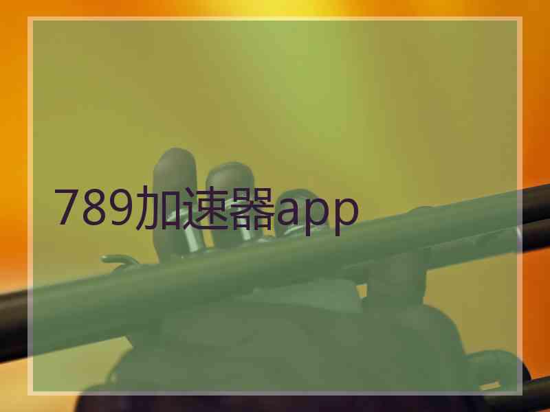 789加速器app